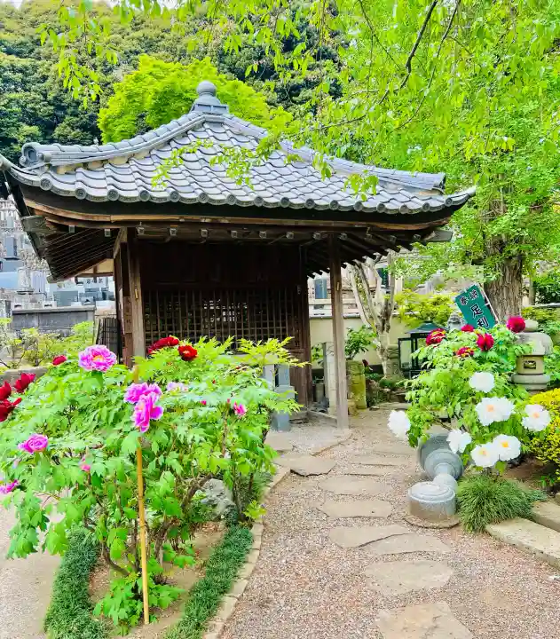 福厳寺の{uncategorized: "未分類", other: "その他", undefined: "問題あり", building: "その他建物", grave: "お墓", sacred_gate: "鳥居", guardian: "狛犬", statue: "像", buddha: "仏像", history: "歴史", nature: "自然", garden: "庭園", animal: "動物", pagoda: "塔", temizu: "手水舎", mountain_gate: "山門・神門", sanctuary: "本殿・本堂", subordinate: "末社・摂社", art: "芸術", scenery: "景色", jizo: "地蔵", ema: "絵馬", goshuin: "御朱印", omikuji: "おみくじ", items: "授与品その他", amulet: "お守り", goshuincho: "御朱印帳", eats: "食事", festival: "お祭り", votive_dance: "神楽", shichigosan: "七五三参", wedding: "結婚式", experience: "体験その他", initially: "初詣", around: "周辺", anti_infection: "感染症対策"}