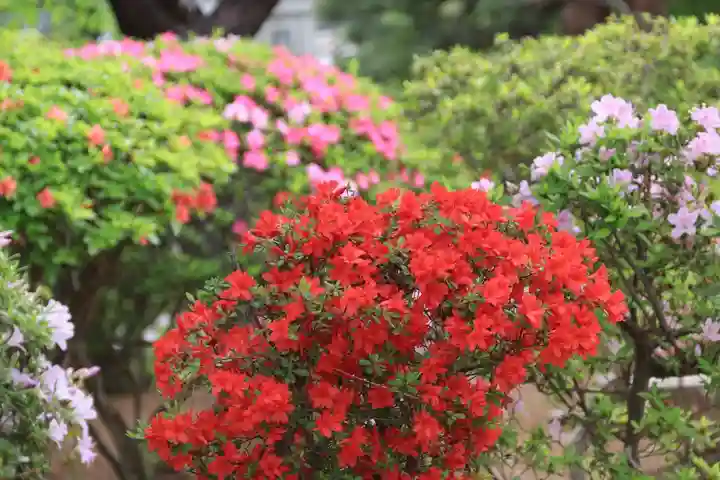 開成山大神宮の庭園