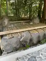 椿大神社の手水舎