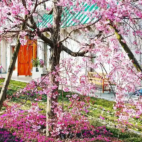 寿量山　速成寺の庭園