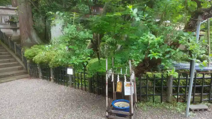 櫻山八幡宮(岐阜県)