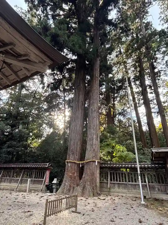 伊和神社(兵庫県)