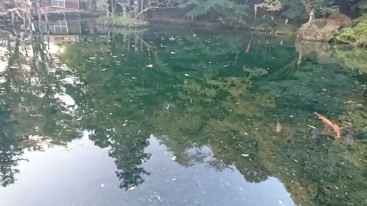 涌釜神社(栃木県)