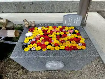 荘内神社の{uncategorized: "未分類", other: "その他", undefined: "問題あり", building: "その他建物", grave: "お墓", sacred_gate: "鳥居", guardian: "狛犬", statue: "像", buddha: "仏像", history: "歴史", nature: "自然", garden: "庭園", animal: "動物", pagoda: "塔", temizu: "手水舎", mountain_gate: "山門・神門", sanctuary: "本殿・本堂", subordinate: "末社・摂社", art: "芸術", scenery: "景色", jizo: "地蔵", ema: "絵馬", goshuin: "御朱印", omikuji: "おみくじ", items: "授与品その他", amulet: "お守り", goshuincho: "御朱印帳", eats: "食事", festival: "お祭り", votive_dance: "神楽", shichigosan: "七五三参", wedding: "結婚式", experience: "体験その他", initially: "初詣", around: "周辺", anti_infection: "感染症対策"}