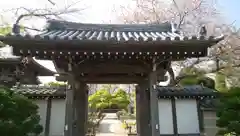 瑞雲寺の山門