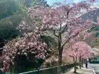 智寂坊(山梨県)