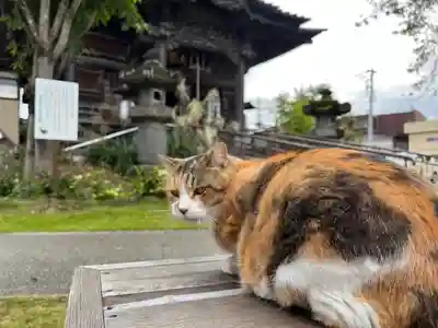 秩父札所十三番 慈眼寺(埼玉県)