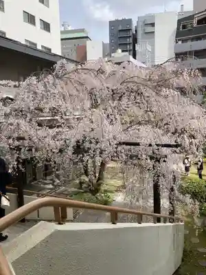 普門寺(広島県)