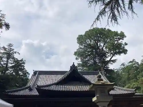 大宝八幡宮の本殿