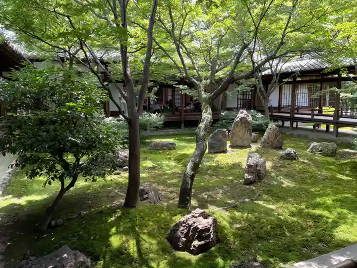 建仁寺(建仁禅寺)(京都府)
