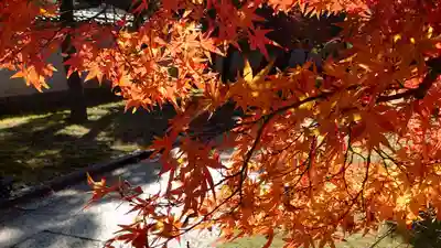 妙顯寺（妙顕寺）(京都府)