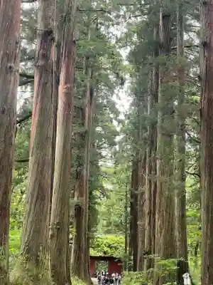 戸隠神社九頭龍社(長野県)
