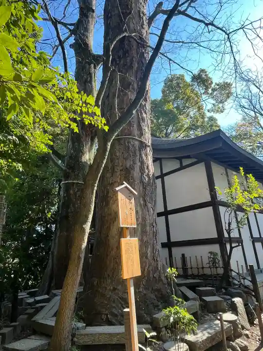 川越氷川神社の{uncategorized: "未分類", other: "その他", undefined: "問題あり", building: "その他建物", grave: "お墓", sacred_gate: "鳥居", guardian: "狛犬", statue: "像", buddha: "仏像", history: "歴史", nature: "自然", garden: "庭園", animal: "動物", pagoda: "塔", temizu: "手水舎", mountain_gate: "山門・神門", sanctuary: "本殿・本堂", subordinate: "末社・摂社", art: "芸術", scenery: "景色", jizo: "地蔵", ema: "絵馬", goshuin: "御朱印", omikuji: "おみくじ", items: "授与品その他", amulet: "お守り", goshuincho: "御朱印帳", eats: "食事", festival: "お祭り", votive_dance: "神楽", shichigosan: "七五三参", wedding: "結婚式", experience: "体験その他", initially: "初詣", around: "周辺", anti_infection: "感染症対策"}