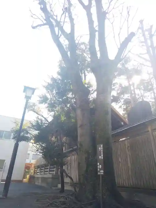 お三の宮日枝神社の自然