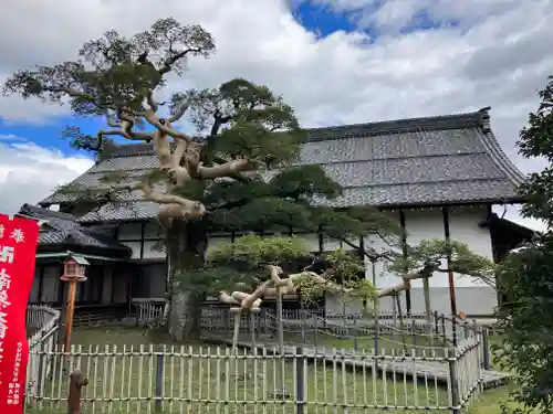 圓鏡寺(岐阜県)