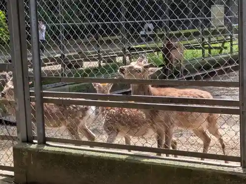 鹿島神宮(茨城県)