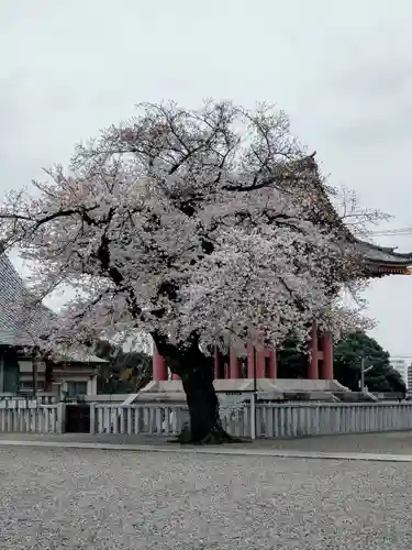池上本門寺(東京都)