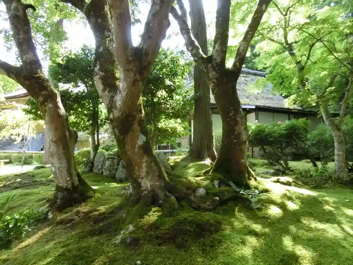 若狭神宮寺の自然