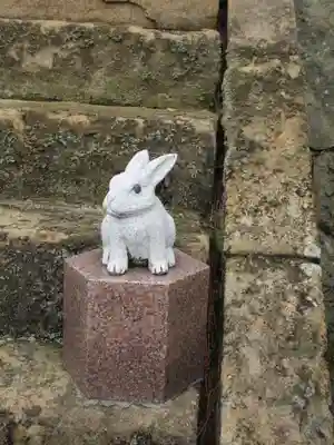 出雲大社神楽殿の狛犬