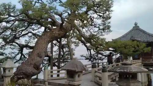 満月寺（浮御堂）の庭園