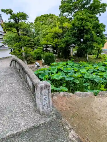 雲龍山 本證寺(愛知県)