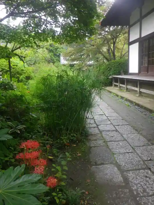 浄光明寺の自然