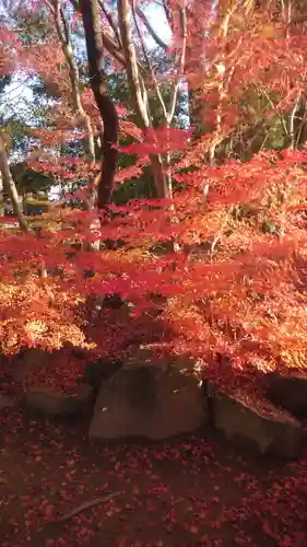 八重垣神社(島根県)