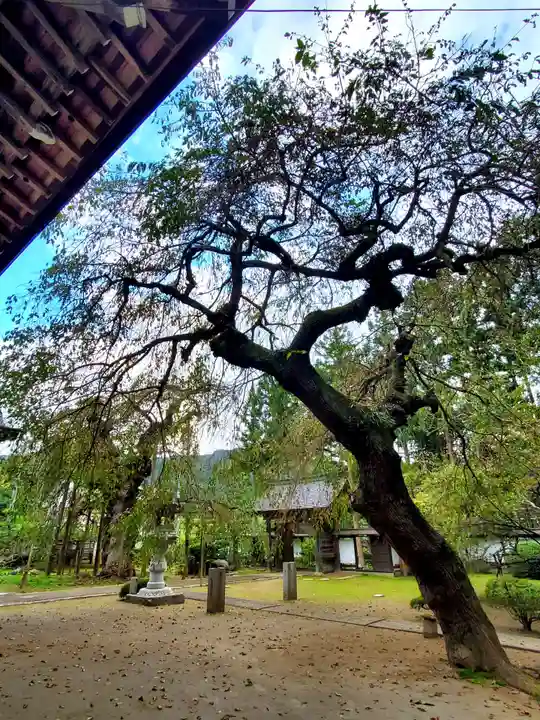 愛蔵寺(福島県)