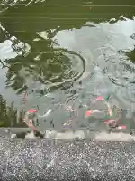 無量寺(神奈川県)