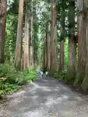 戸隠神社奥社(長野県)