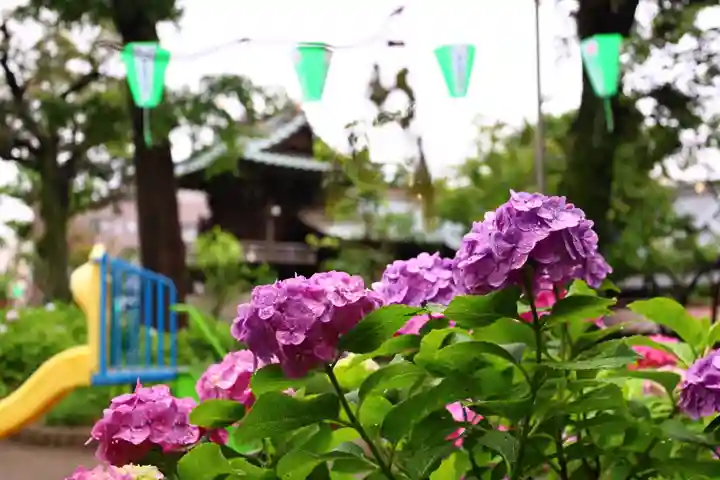 白山神社(東京都)