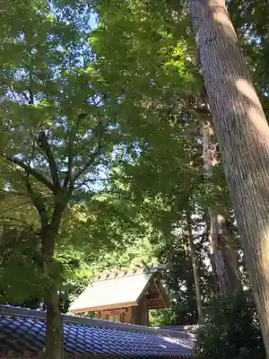 阿自賀神社の本殿・本堂