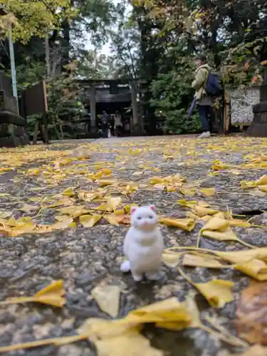 赤坂氷川神社(東京都)