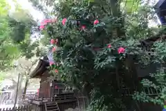 阿邪訶根神社の庭園