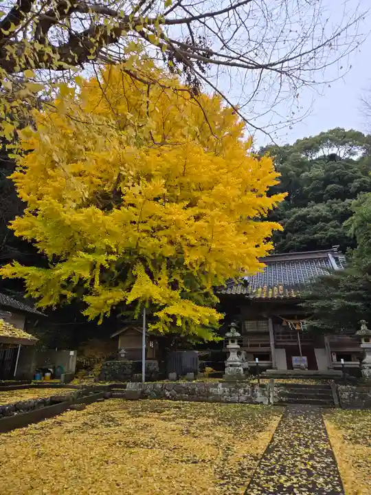 志理太乎宜神社(来宮神社)(静岡県)