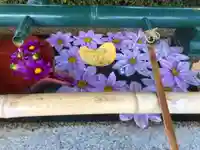 伊和志津神社の手水舎