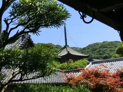 根来寺のその他建物