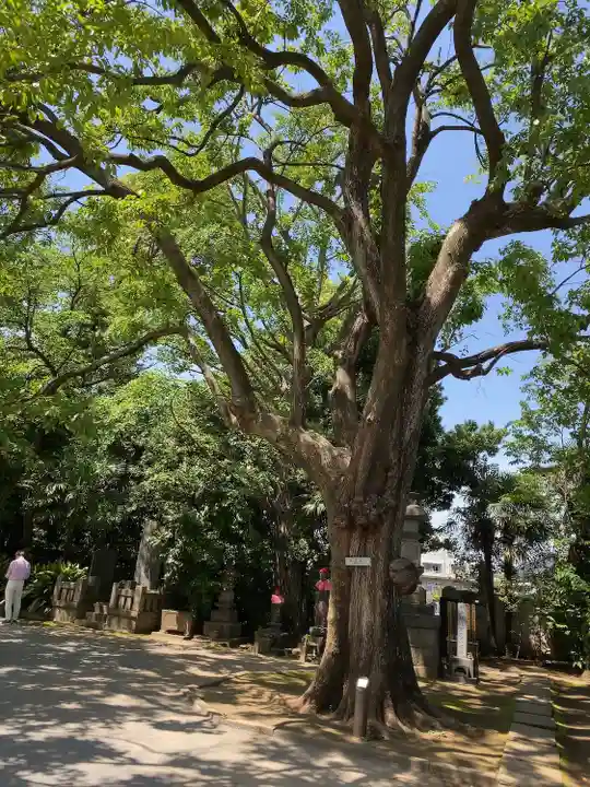 最勝寺教学院の自然