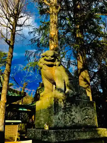 金村別雷神社の狛犬