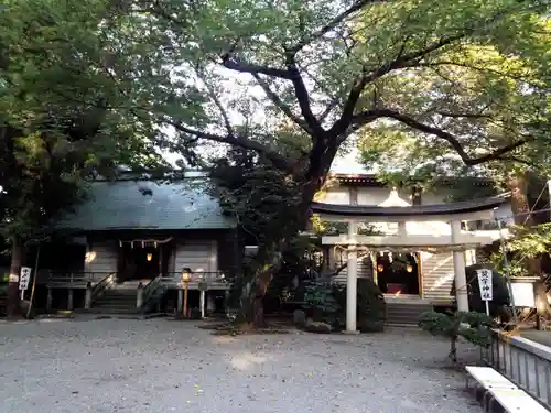 前鳥神社の鳥居