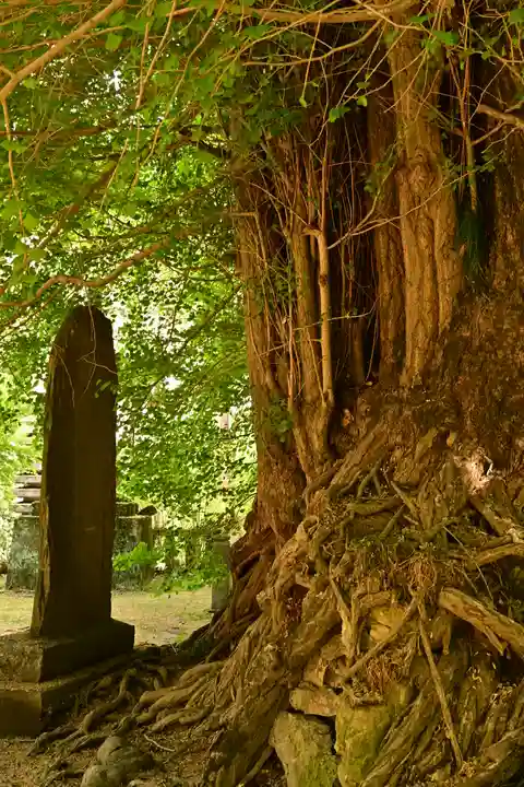 正法寺(埼玉県)