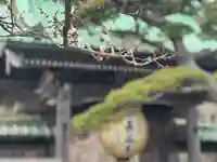 長谷寺(神奈川県)