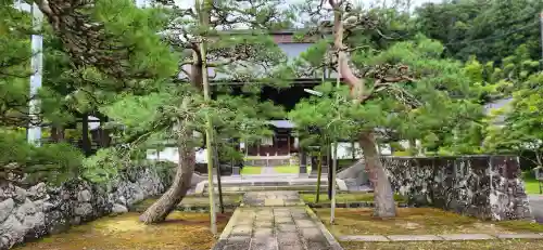 佛向寺の山門