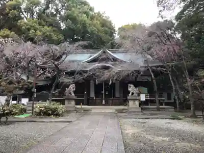 保久良神社の本殿・本堂