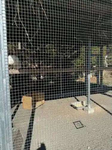 進雄神社の{uncategorized: "未分類", other: "その他", undefined: "問題あり", building: "その他建物", grave: "お墓", sacred_gate: "鳥居", guardian: "狛犬", statue: "像", buddha: "仏像", history: "歴史", nature: "自然", garden: "庭園", animal: "動物", pagoda: "塔", temizu: "手水舎", mountain_gate: "山門・神門", sanctuary: "本殿・本堂", subordinate: "末社・摂社", art: "芸術", scenery: "景色", jizo: "地蔵", ema: "絵馬", goshuin: "御朱印", omikuji: "おみくじ", items: "授与品その他", amulet: "お守り", goshuincho: "御朱印帳", eats: "食事", festival: "お祭り", votive_dance: "神楽", shichigosan: "七五三参", wedding: "結婚式", experience: "体験その他", initially: "初詣", around: "周辺", anti_infection: "感染症対策"}