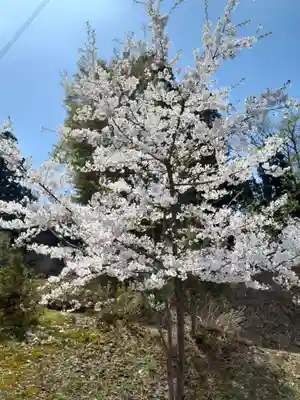 円満寺観音堂の自然