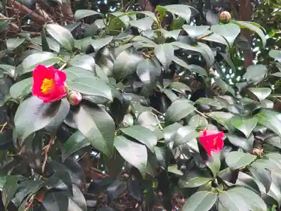 日招八幡大神社(愛媛県)
