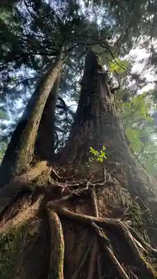 玉置神社(奈良県)
