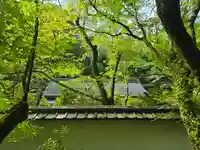 世尊院(滋賀県)