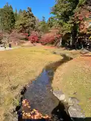 毛越寺の庭園